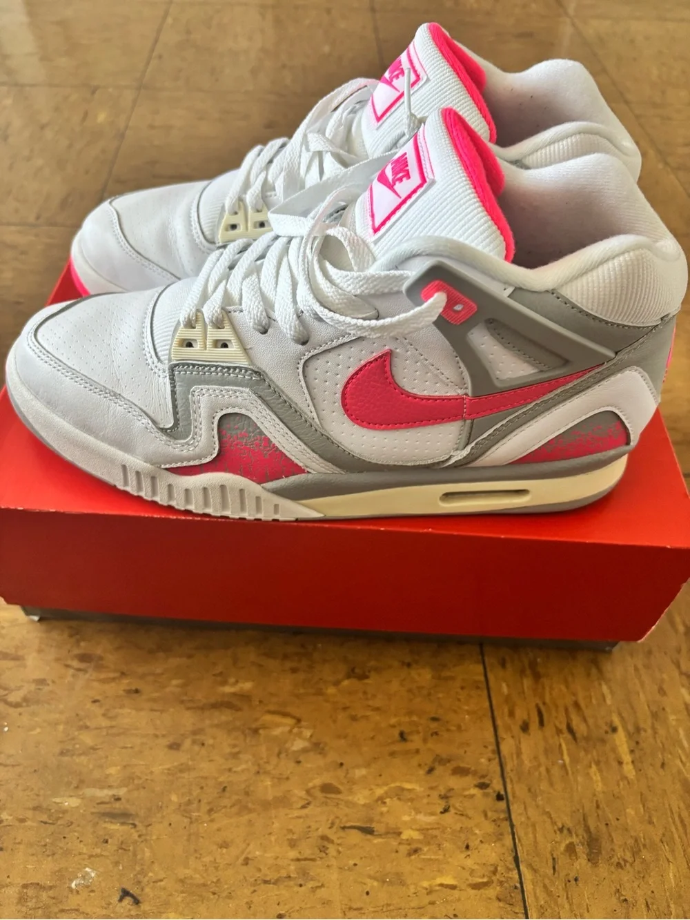 Air tech challenge 2 andre Agassi tennis shoe